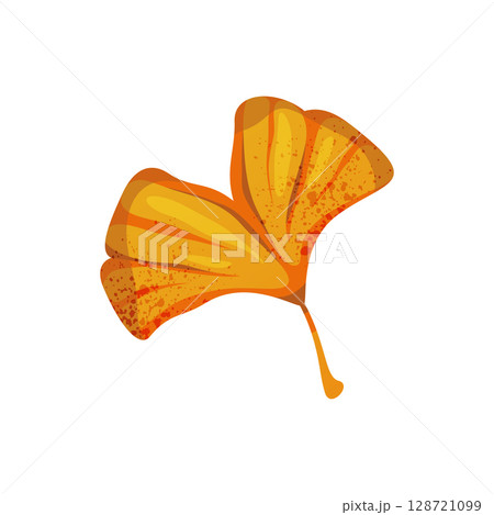 Autumn ginkgo tree leaf. Vector ginkgo ales plant herbarium. Naturalist flyleaf. Pressed forest or wood nature for taxonomy symbol. Twig and stem. Biology leaf print and garden botany, ecology foliage 128721099