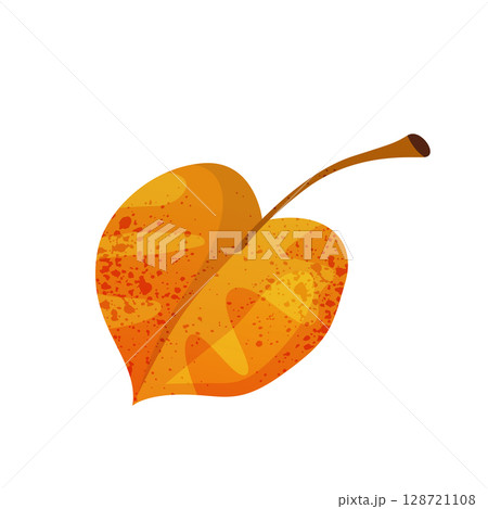 Autumn herbarium birch leaf. Vector fall and nature symbol. Forest and wood, garden foliage. Woodland texture or leaf print. Naturalist deciduous element. Biology, botany, ecology and flora, taxonomy. 128721108