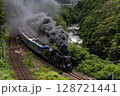 諏訪峡とSL 128721441