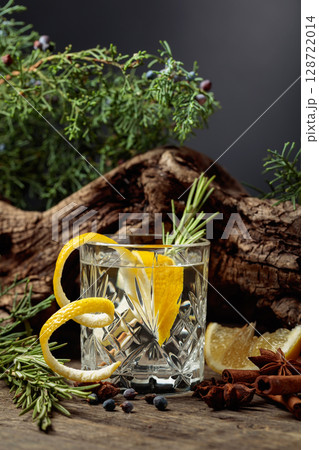 Cocktail gin-tonic with lemon, cinnamon, anise, and juniper berries. Cocktail gin-tonic with lemon, cinnamon, anise, and juniper berries. 128722014