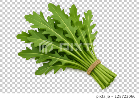 Freshly Harvested Arugula Leaves Gathered in a Bunch With a Natural Twine 128722066