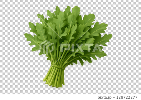 Freshly Harvested Arugula Bundle Ready for Culinary Use in Salads and Dishes 128722277