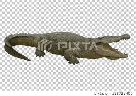 Large Crocodilian Resting With Mouth Open in a Natural Habitat Setting During the Day Large Crocodilian Resting With Mouth Open in a Natural Habitat Setting During the Day 128722400