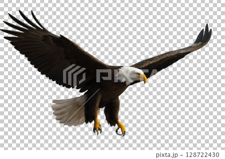 Majestic Bald Eagle in Flight Showcasing Powerful Wings and Sharp Talons Over a White Background 128722430