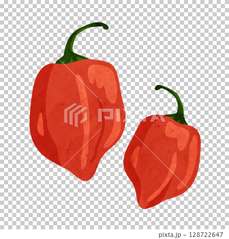 Habanero watercolor hand-drawn illustration 128722647
