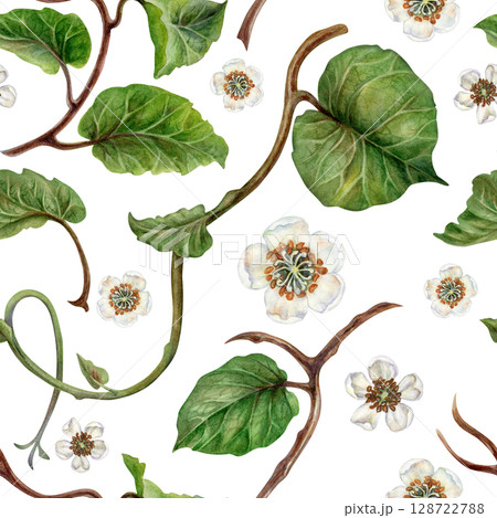Watercolor seamless pattern with winding kiwi branches with green leaves and flowers on a white background for design of juices, cocktails, jams, preserves, drinks, food, children's, kitchen textiles 128722788