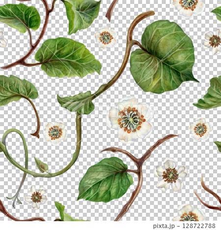 Watercolor seamless pattern with winding kiwi branches with green leaves and flowers on a white background for design of juices, cocktails, jams, preserves, drinks, food, children's, kitchen textiles 128722788