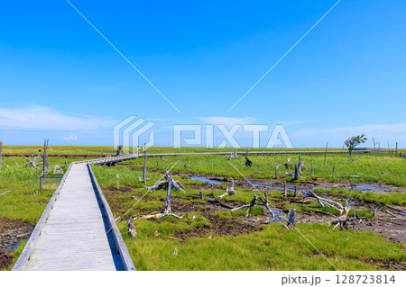 春国岱 春国岱 128723814