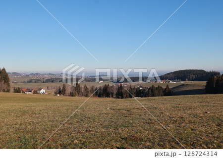 Large, open field with a clear blue sky 128724314