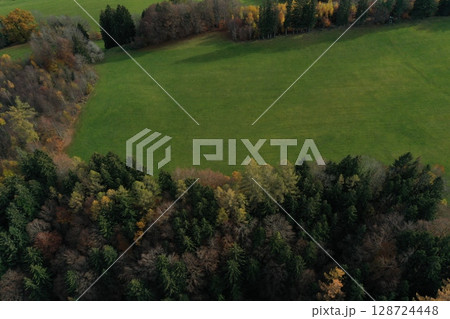 Large, lush green field with trees in the background Large, lush green field with trees in the background 128724448