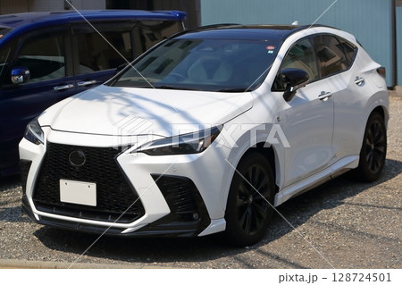 国産SUV　イメージ 128724501