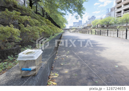 夏休み中に虫採りをした子供の頃の思い出をイメージした写真 夏休み中に虫採りをした子供の頃の思い出をイメージした写真 128724655