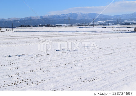 雪国の田園風景 山形県庄内 128724697