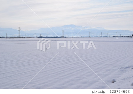 雪国の田園風景 山形県庄内 128724698