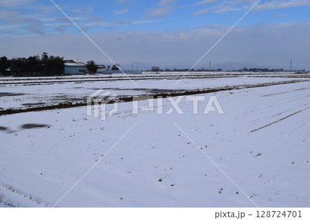雪国の田園風景 山形県庄内 雪国の田園風景 山形県庄内 128724701