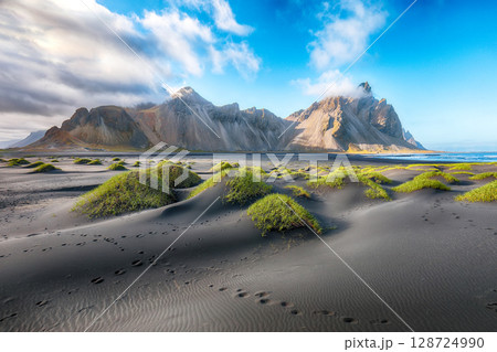 Astonishing sunny day and gorgeous rippled black sand beach with dunes and green grass on Stokksnes cape in Iceland. 128724990