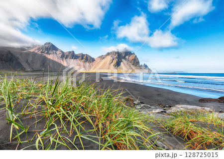 Amazing sunny day and gorgeous rippled black sand beach with dunes and green grass on Stokksnes cape in Iceland. 128725015