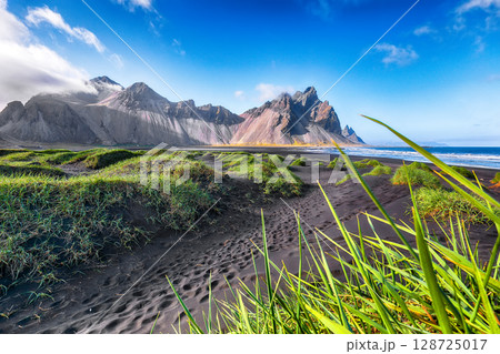 Amazing sunny day and gorgeous rippled black sand beach with dunes and green grass on Stokksnes cape in Iceland. 128725017