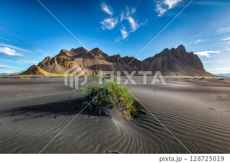 Amazing sunny day and gorgeous rippled black sand beach with dunes and green grass on Stokksnes cape in Iceland. Amazing sunny day and gorgeous rippled black sand beach with dunes and green grass on Stokksnes cape in Iceland. 128725019
