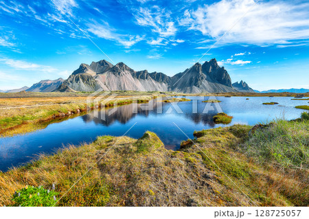 Impressive sunny day and lupine flowers on Stokksnes cape in Iceland. Impressive sunny day and lupine flowers on Stokksnes cape in Iceland. 128725057