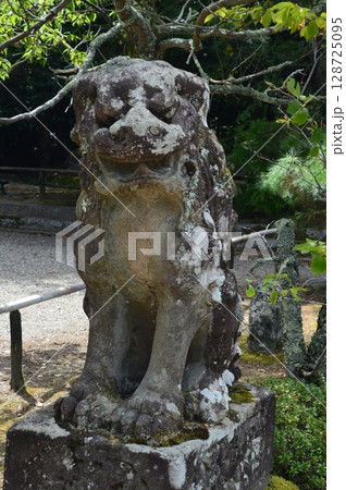 狛犬(阿形像)（浦嶋神社／京都府与謝郡伊根町本庄浜141） 128725095