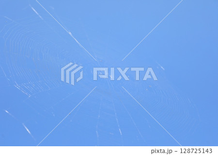 蜘蛛の巣の糸　イメージ 128725143