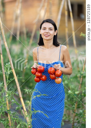 Young woman is working in garden between beds, picking ripe red tomatoes Young woman is working in garden between beds, picking ripe red tomatoes 128725189