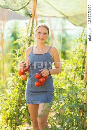 Young woman with tomato harvest in cottage garden 128725190