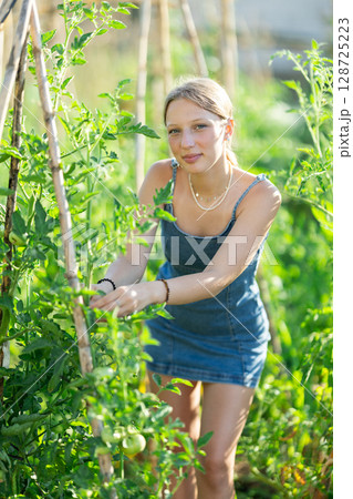 Girl farmer staff takes care of plants, ties up climbing garden fruit crops Girl farmer staff takes care of plants, ties up climbing garden fruit crops 128725223