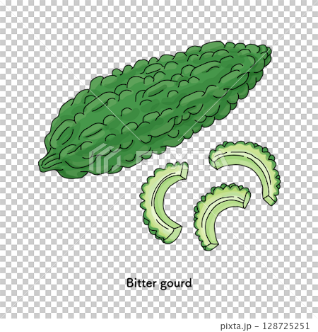 沖繩_苦瓜線條描插圖 128725251