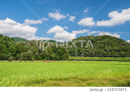 のどかな田園風景　奥琵琶湖　滋賀県長浜市西浅井町大浦 128725671