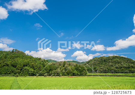 のどかな田園風景　奥琵琶湖　滋賀県長浜市西浅井町大浦 128725673