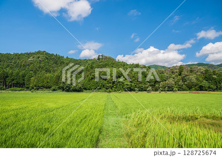 のどかな田園風景　奥琵琶湖　滋賀県長浜市西浅井町大浦 128725674