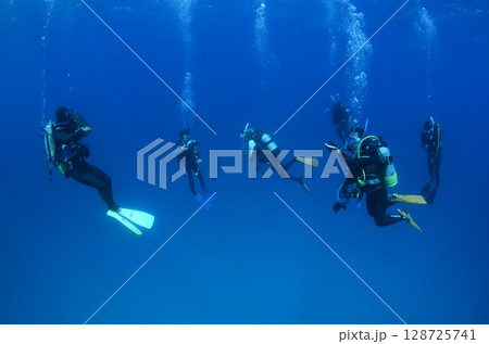 浮遊するダイバーたち 128725741
