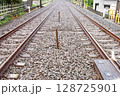 東京：真っすぐ伸びる線路と緩やかなカーブ（鉄道風景） 128725901
