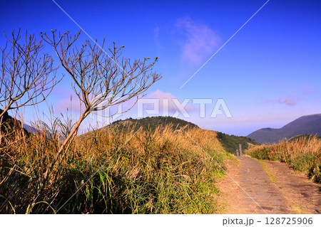 景色 風景 鶏冠 128725906