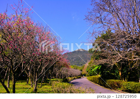 景色 風景 青空 128725950