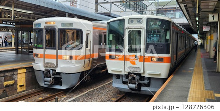 大垣駅で並ぶ311系と313系 大垣駅で並ぶ311系と313系 128726306