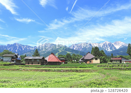 白馬の夏　山麓から望む北アルプス 128726420