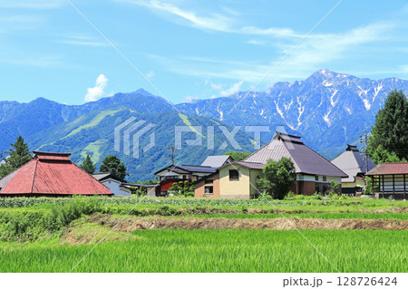 白馬の夏　山麓から望む北アルプス 128726424