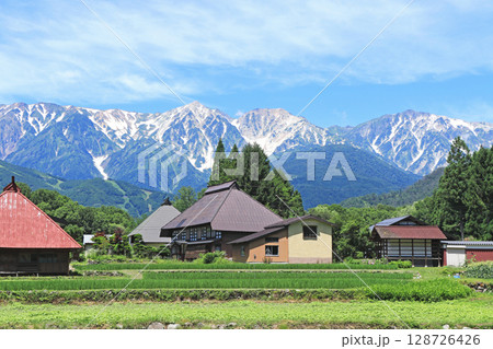 白馬の夏　山麓から望む北アルプス 128726426