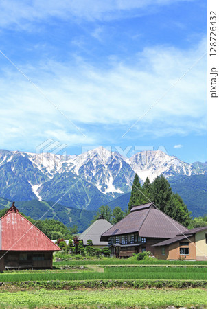 白馬の夏　山麓から望む北アルプス 128726432