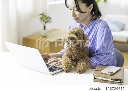 テレワーク　飼い主さんに抱っこされている犬 128726815