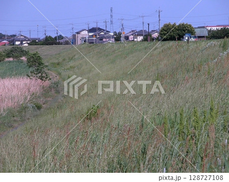 搭乗除草機による堤防管理作業(2013.5.24) 新上武大橋下流の利根川右岸堤防 除草作業前 搭乗除草機による堤防管理作業(2013.5.24) 新上武大橋下流の利根川右岸堤防 除草作業前 128727108