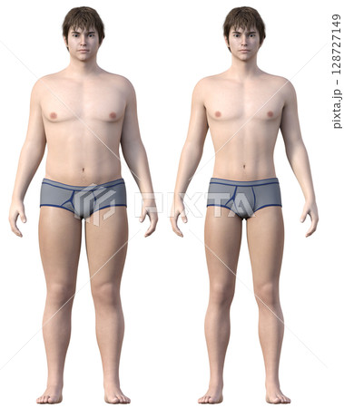 ダイエットのビフォーアフター 太った男性と痩せた男性の全身正面の比較イラスト 3Dモデル 128727149