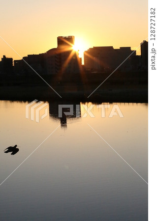 初日の出・荒川夜明け・千住新橋【東京都足立区】 初日の出・荒川夜明け・千住新橋【東京都足立区】 128727182
