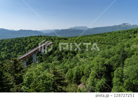 新緑の松見大橋 新緑の松見大橋 128727251