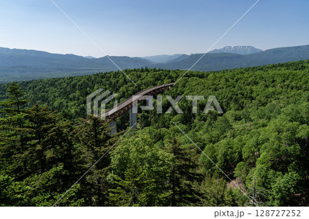 新緑の松見大橋 128727252
