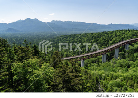 新緑の松見大橋 128727253