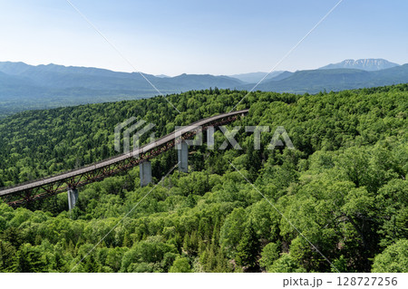 新緑の松見大橋 128727256